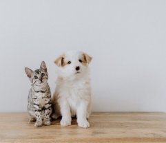 Demander une garde Demander une garde